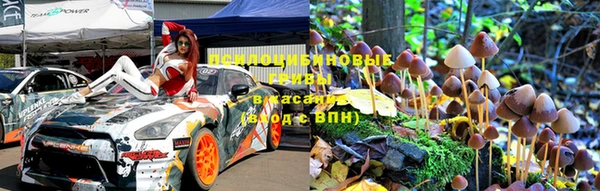 гашик Белоозёрский