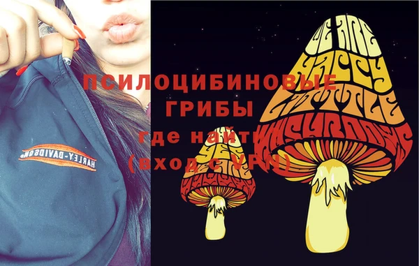 таблы Беломорск