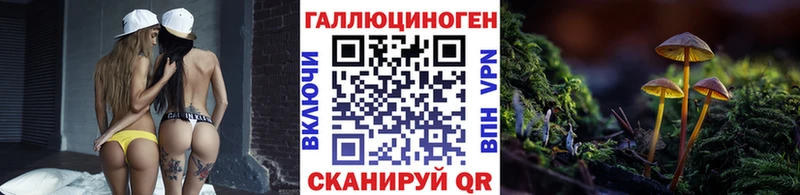 как найти   Билибино  Галлюциногенные грибы Magic Shrooms 